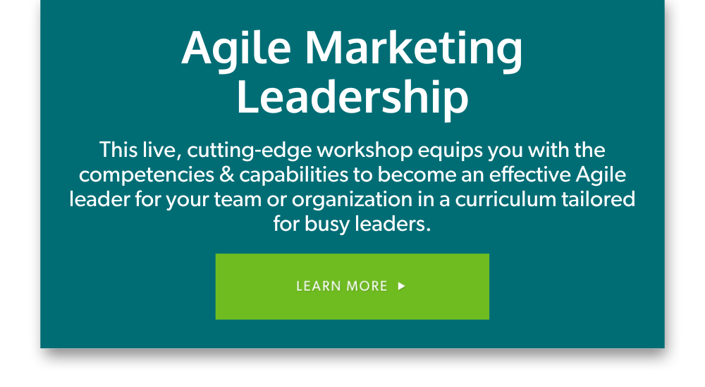 Agile Marketing Leadership