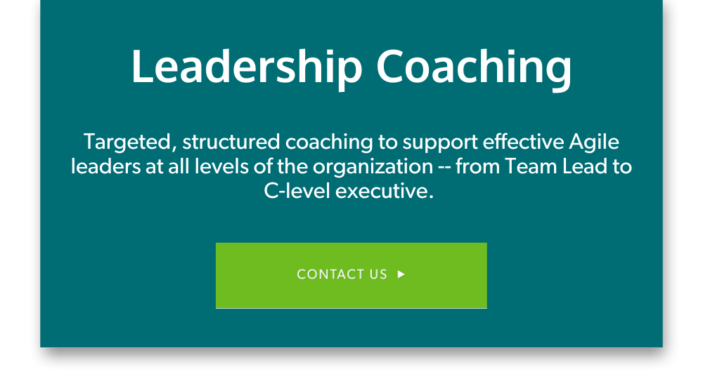 Leadership Coaching-1